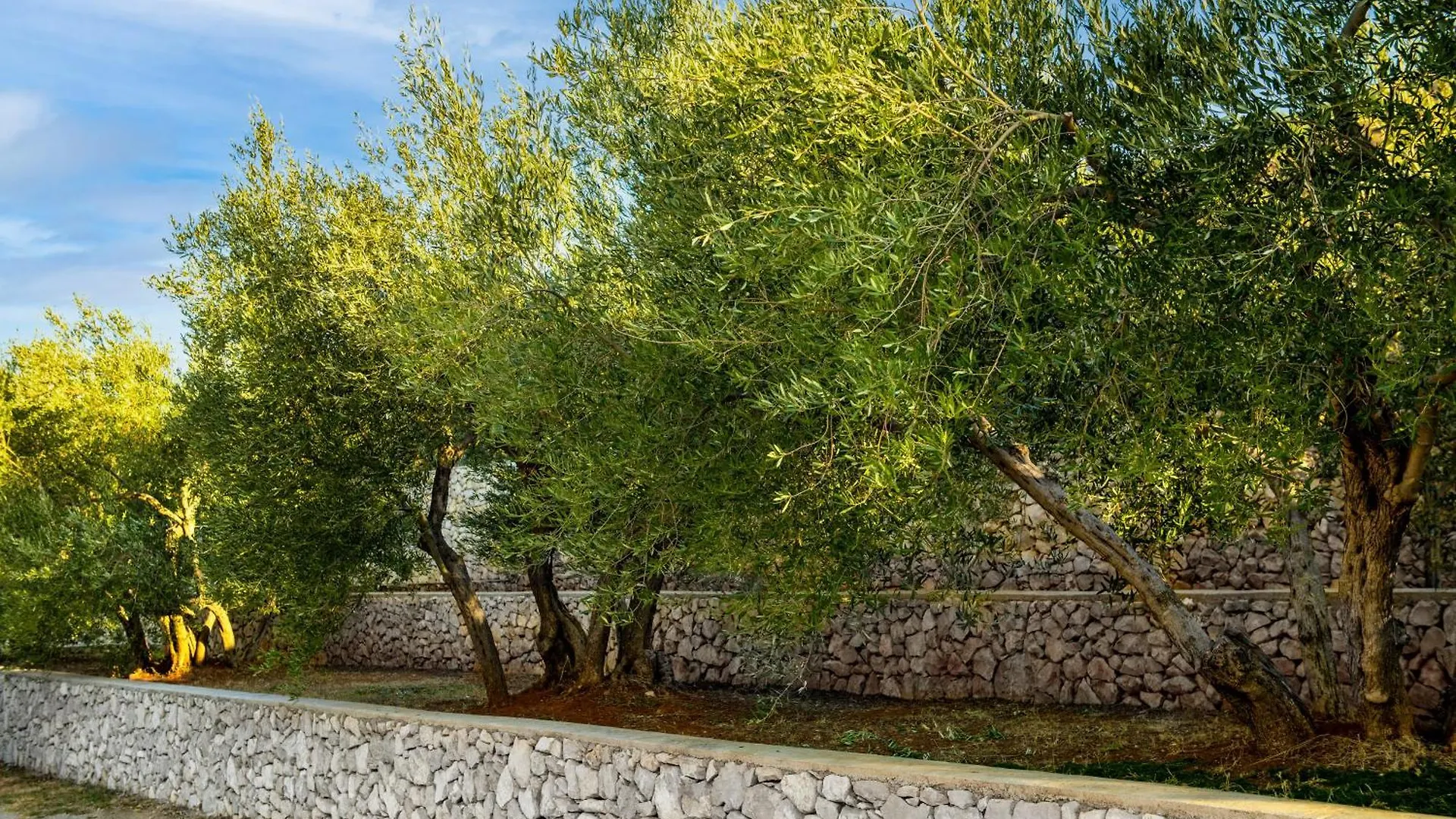 Villa Panoramica Koromacno Croatia
